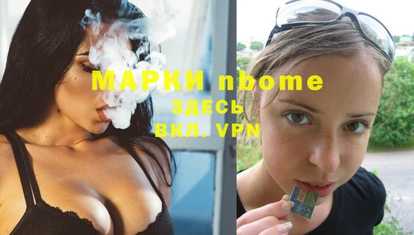 бошки Няндома