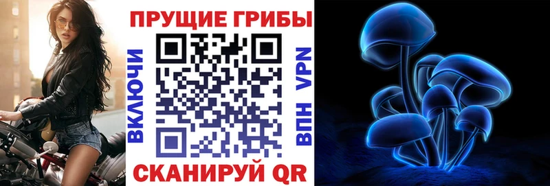 хочу мега как войти Псилоцибиновые грибы мухоморы Грайворон